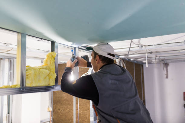 Best Geographic-Specific Insulation Services in Weissport East, PA