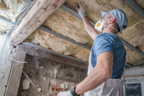 Professional Insulation Contractor in Weissport East, PA