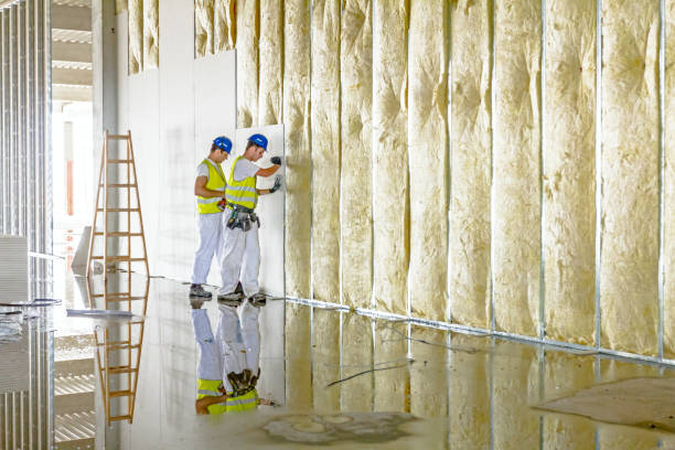 Best Spray Foam Insulation in Weissport East, PA
